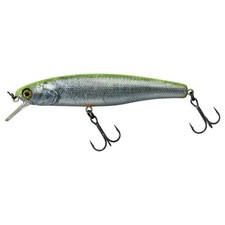 Illex Arnaud 100 F RT Visible