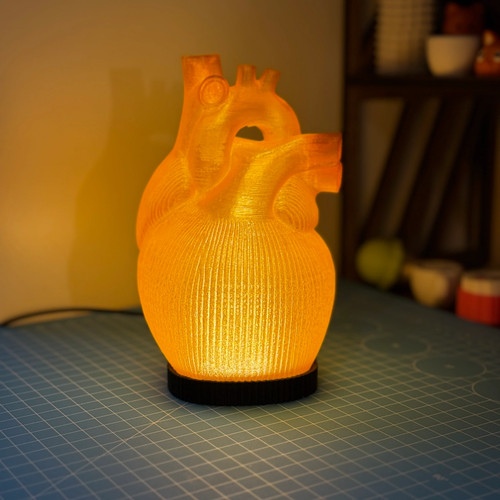 Orange anatomische herz lampe - anatomische,