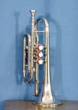 Cornet nickel finish pitch - nickel,
