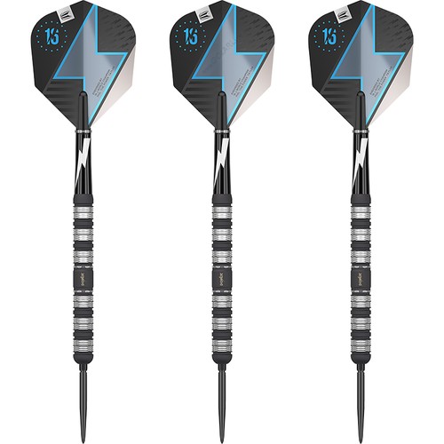 Target steeldarts swiss - target, point