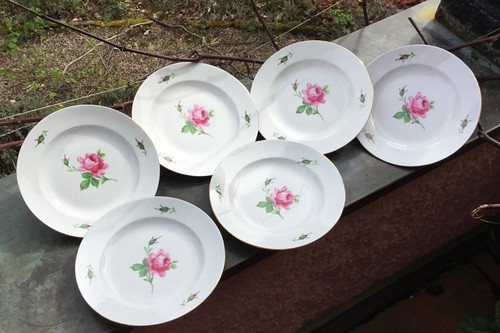 Meissen rote rose antiker - 6,