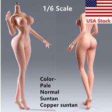 YM501 1/6 Female Sexy Plump