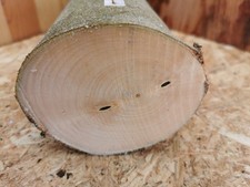 🪵 Ahorn Drechselholz –