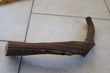 Abwurfstangen Damgeweih Geweihstangen Hirschhorn Hirschgeweih Damhirsch