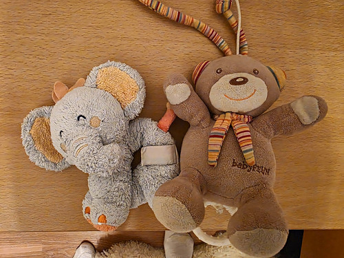 Spieluhr bär und greifring - bär,