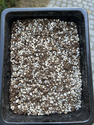 Lithops soil liter - soil., liter.