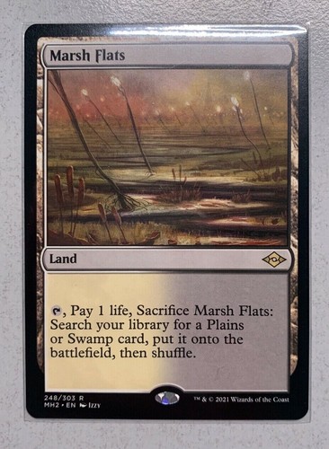 Magic the gathering marsh - magic,