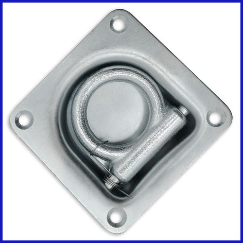 Zurrmulde mit ring 800dan - ring,
