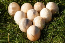 10 Dekoeier, Ostereier aus