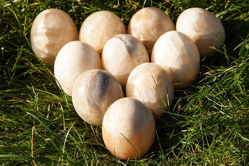Dekoeier ostereier aus - dekoeier,,