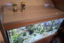 Aquarium set  mit Unterschrank
