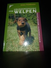 Grunderziehung für Welpen