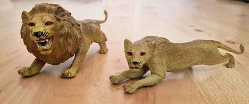 Löwe löwin wilde - &,