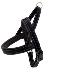 Happilax Norwegergeschirr für