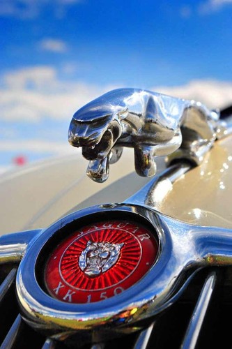 Jaguar auto springende - auto,