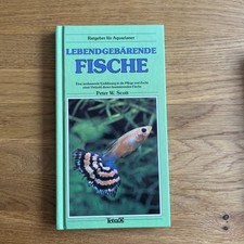Lebendgebärende  Fische von