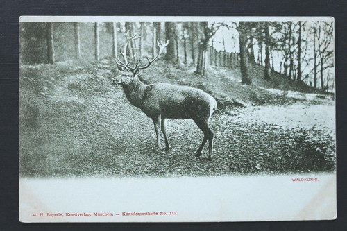 Jäger jagd hirsch - jäger,