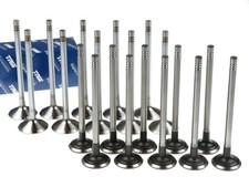 TRW 10x Einlassventil 10x