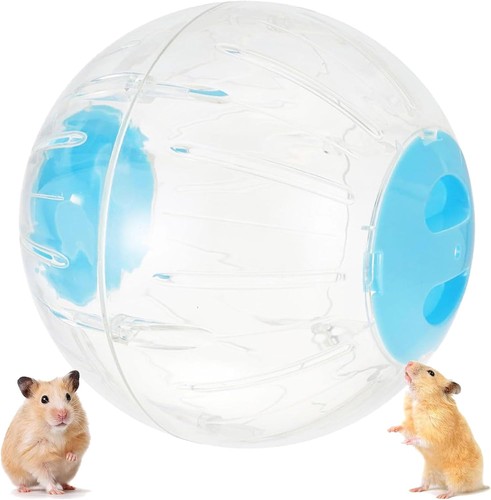 Hamster run ball 6 - hamster,