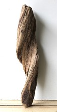 Treibholz Schwemmholz Driftwood  1  Skulptur Basteln Dekoration  57 cm