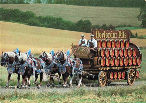 Herford herforder pils alte - pils,