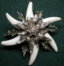 HUTANSTECKER FUCHSHAKENSTERN