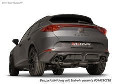 Remus sport exhaust complete