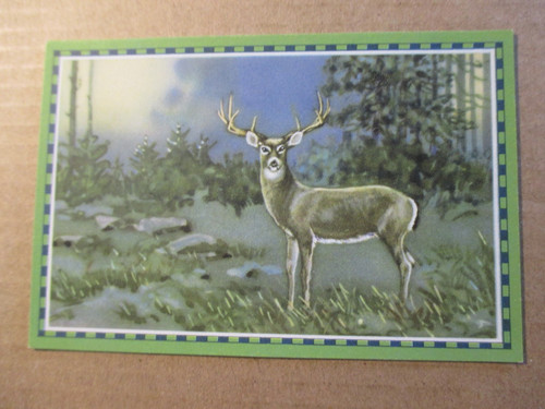 Bild chlorodont - 1.bild,