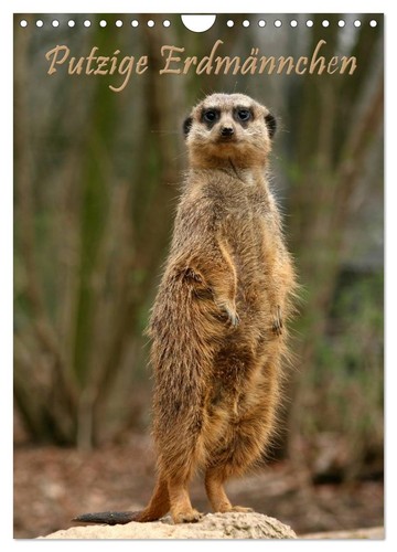 Erdmännchen terminplaner - erdmännchen, /