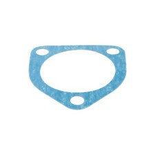 Dichtung Bremsankerplatte SIP