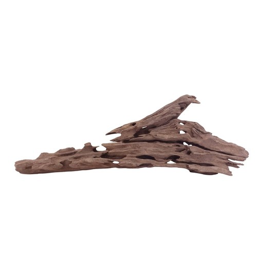 Honey comb wurzel - honey,