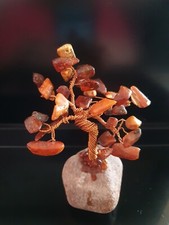 (K6) Bernstein Glücks Baum