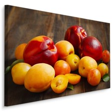 CANVAS Leinwand Bilder XXL