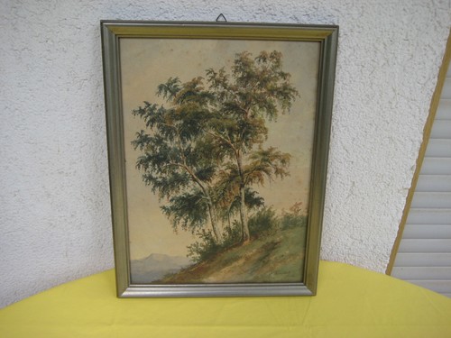 Aquarell landschaft mit bäume - mit,