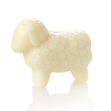 Seife Schafmilchseife  in