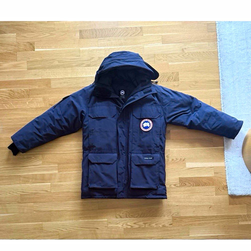 Canada goose expedition - goose,