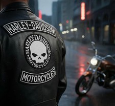 Drei Thermo Aufnäher Willie