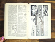Brockhaus der Naturwissenschaft und der Technik, 1958, Nachschlagewerk, Lexikon