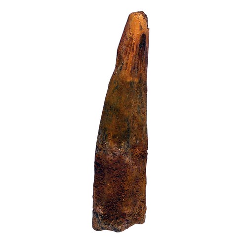 Spinosaurus aegyptiacus