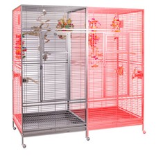 Montana Cages - Arkansas Nova