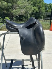 Amerigo Close Contact Dressage