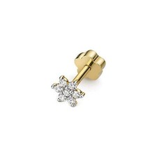 Diamant blume knorpel - diamant,