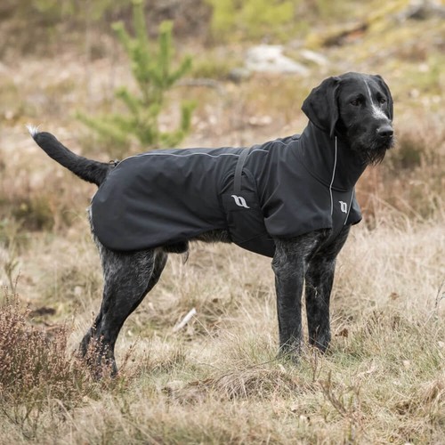 Back track bark - back,