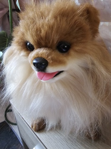 Reborn puppe pomeranian - reborn,
