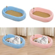 Katzenkratzbrett Kätzchen