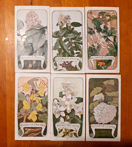 Stollwerck sammelbilder - 6x,