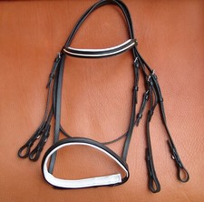 Kandarenzaum Kandare Stirn