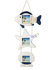 Fisch seesterne muscheln - fisch-seesterne-muscheln,