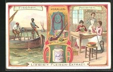 Sammelbild liebig korallen - liebig,,