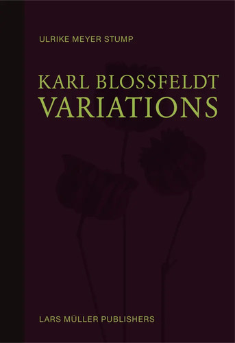 Karl blossfeldt variations - blossfeldt:, |